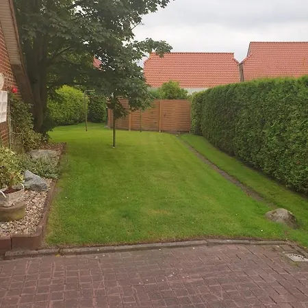 Kleine Moewe